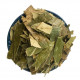 Pi Pa Ye | Loquat Leaf | Eriobotryae   |   枇杷叶